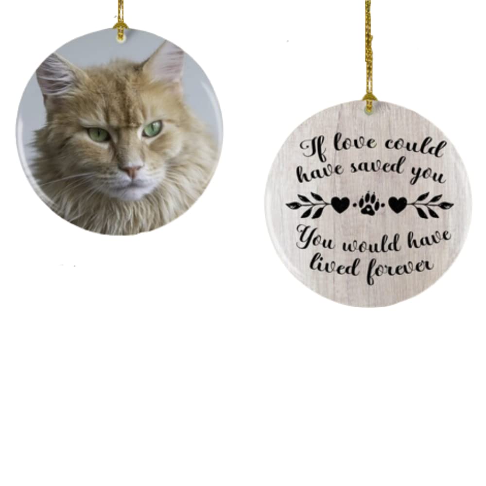 **Personalized Cat Memorial Christmas Ornament - Custom Cat Picture Frame Gift for Cat Lovers - Double-Sided Ceramic Pet Loss Keepsake - Christmas Tree Decor for Grieving Pet Owners (Home, Office, Memorial Display)**
