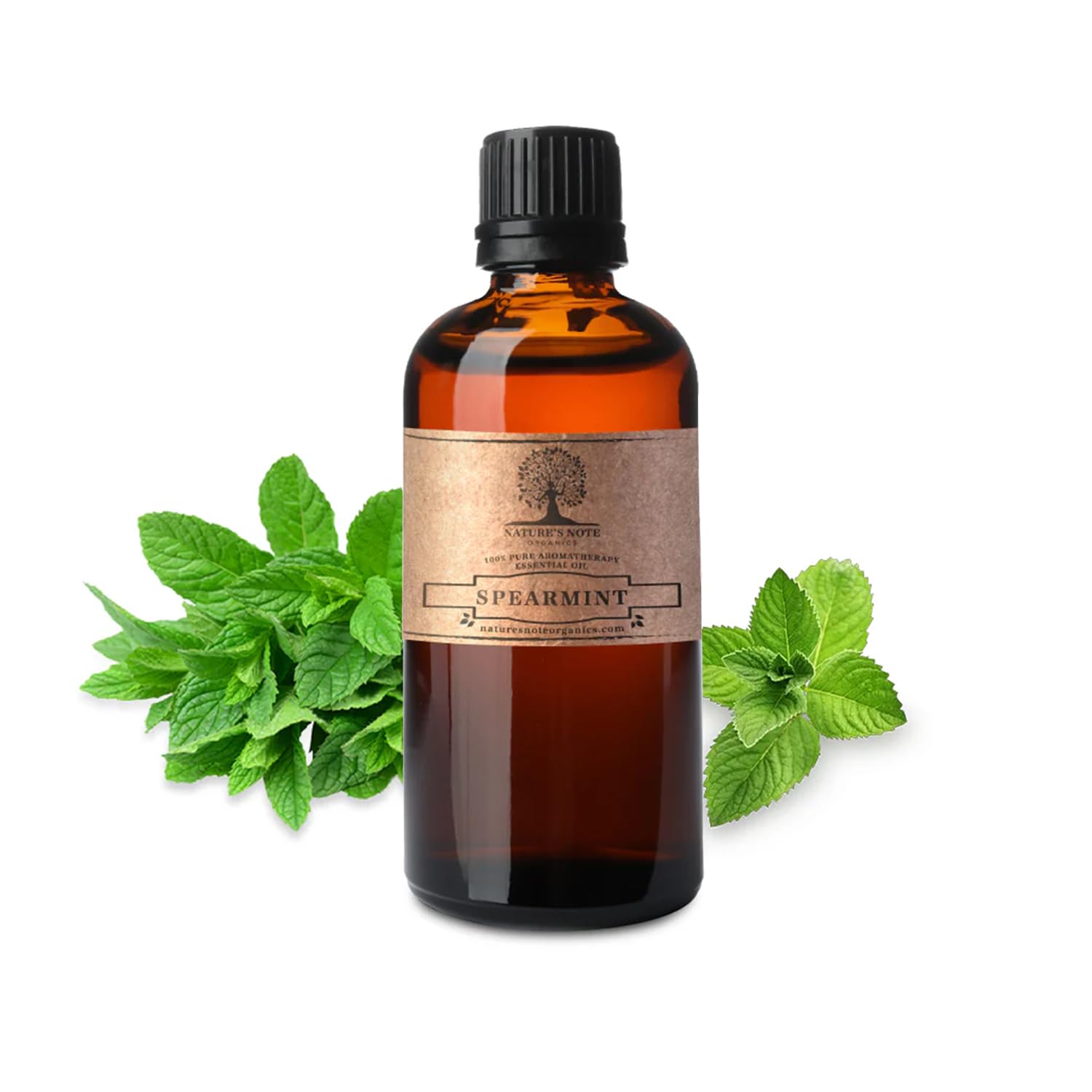 100% Pure Spearmint Essential Oil for Aromatherapy & Diffusers | Nature's Note Organics | Relaxing Mint Scent for Stress Relief, Yoga & Home Spa