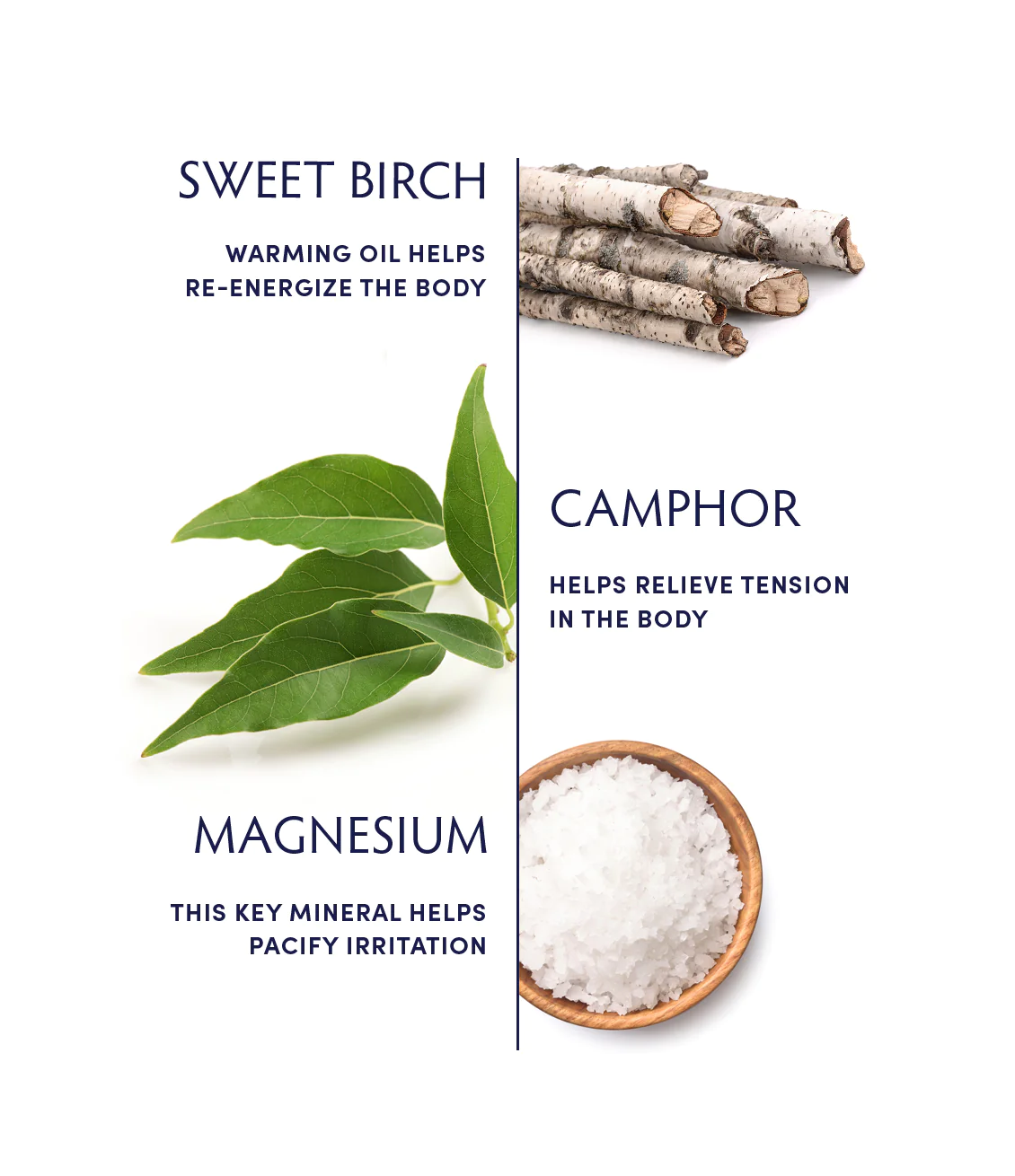 Naturopathica Sweet Birch & Camphor Rub - Natural Pain Relief Muscle Balm for Sore Muscles & Joints | Perfect for Post-Workout Recovery, Arthritis & Back Pain Relief