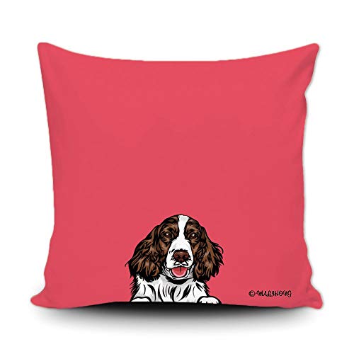 English Springer Spaniel-1-4