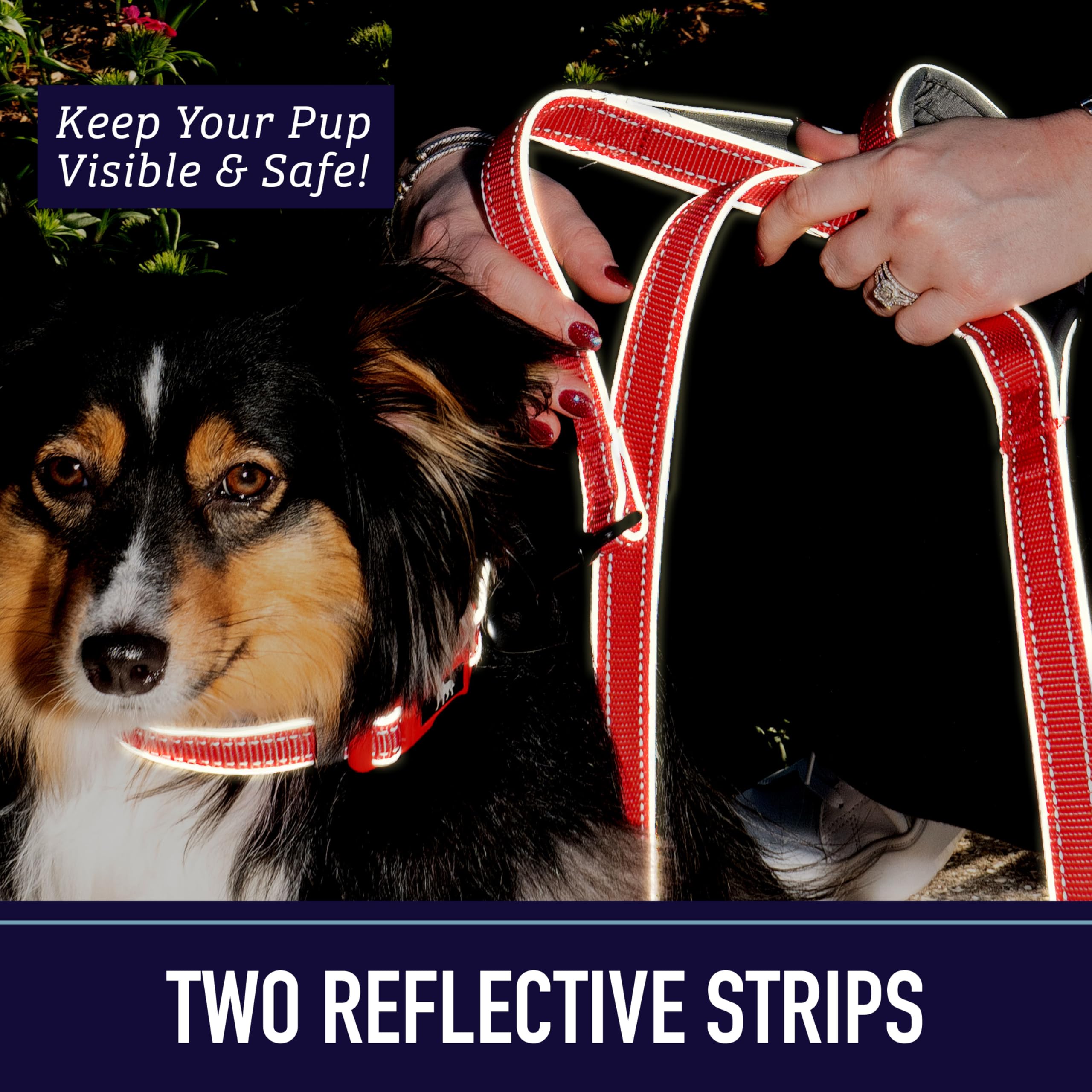 Leash Boss Double Handle Reflective Dog Leash - 6FT Strong Padded Leash for Large & Medium Pulling Dogs (Purple/Pink Space Pattern) - Perfect for Night Walks, Training & Active Dogs