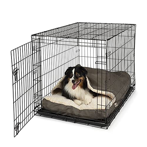A Cozy Tale for Your Furry Friend