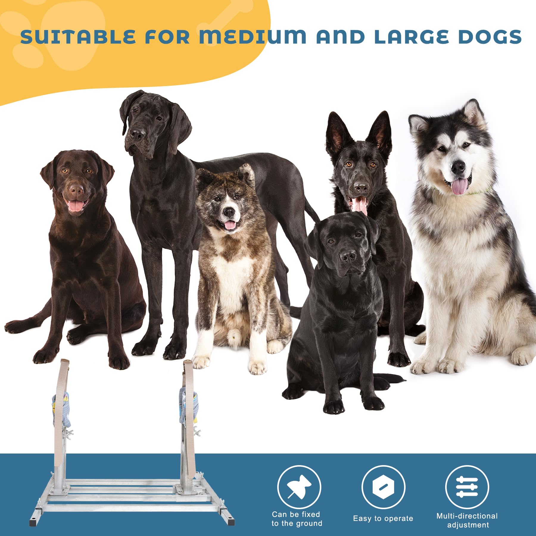 Stainless Steel Adjustable Dog Breeding Stand for Large Dogs - Multi-Specification (17.7in-35.4in Shoulder Height) | Perfect for Professional Breeders, Veterinary Clinics & Home Dog Breeding | Durable & Easy to Clean