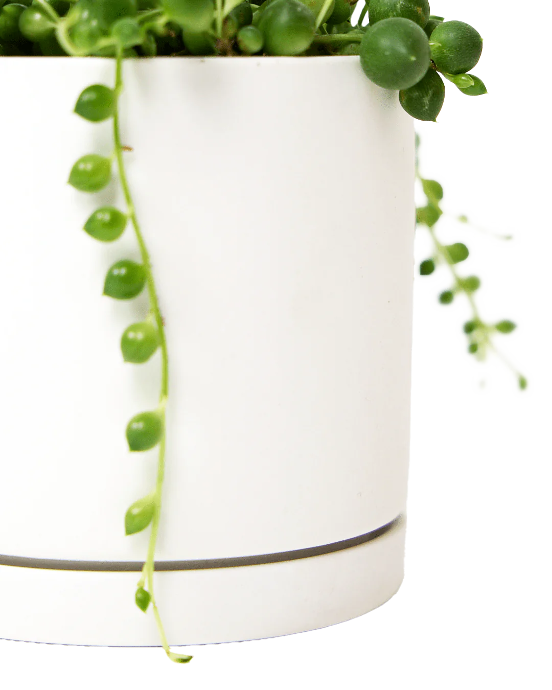 Modern Ceramic Indoor Plant Pot with Saucer - Elegant Dojo Porcelain Planter for Home, Office & Garden Decor - Perfect for Succulents, Herbs & Small Plants
