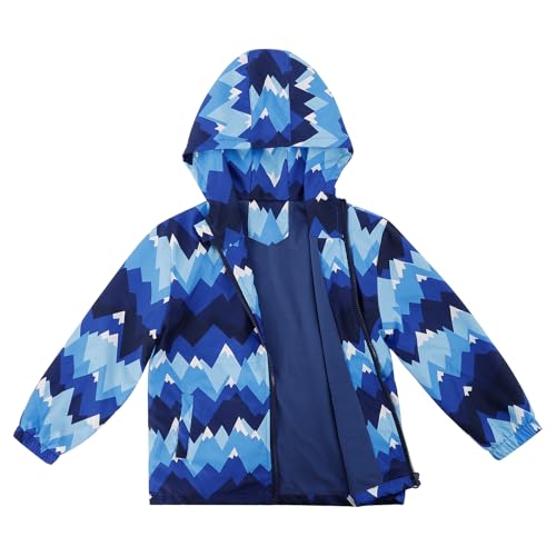 Blue/Navy