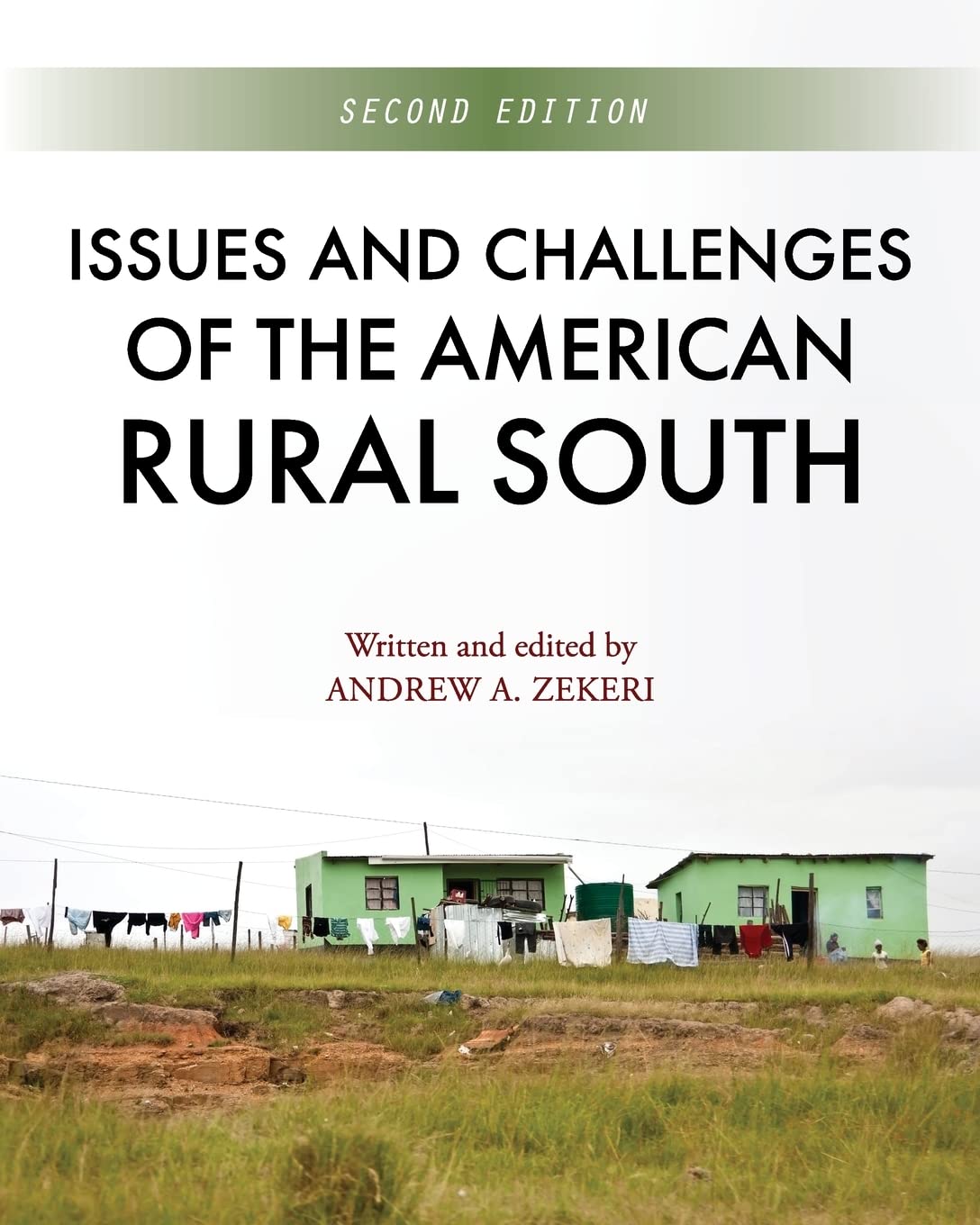 Key Issues and Challenges Facing the American Rural South - Poverty, Education & Infrastructure Problems | Rural Development Solutions for Southern US Communities