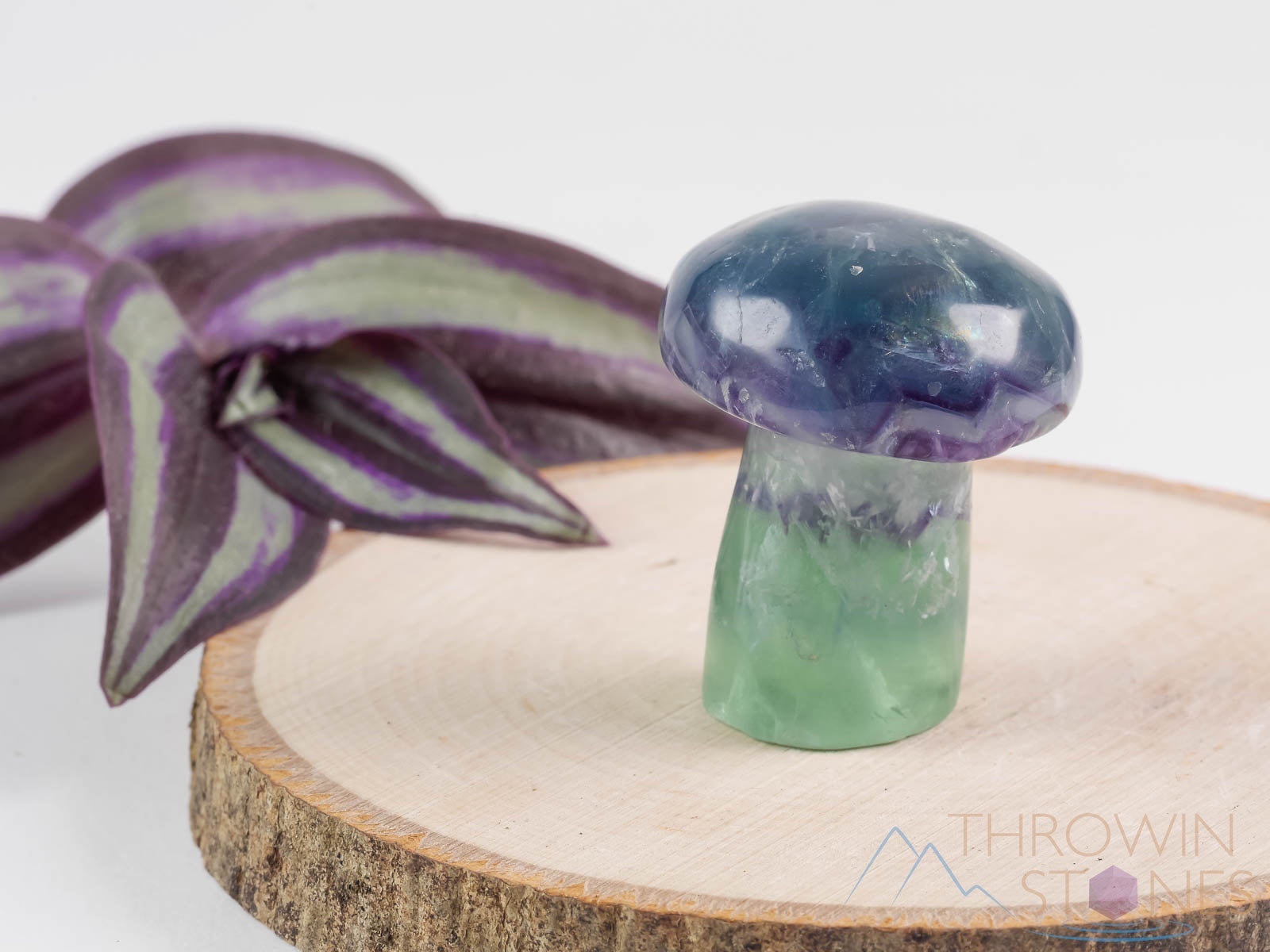 Rainbow Fluorite Crystal Mushroom Carving - Natural Fluorite Figurine, Handcrafted Stone Decor, Unique Hippie Home Decoration for Meditation & Spiritual Spaces