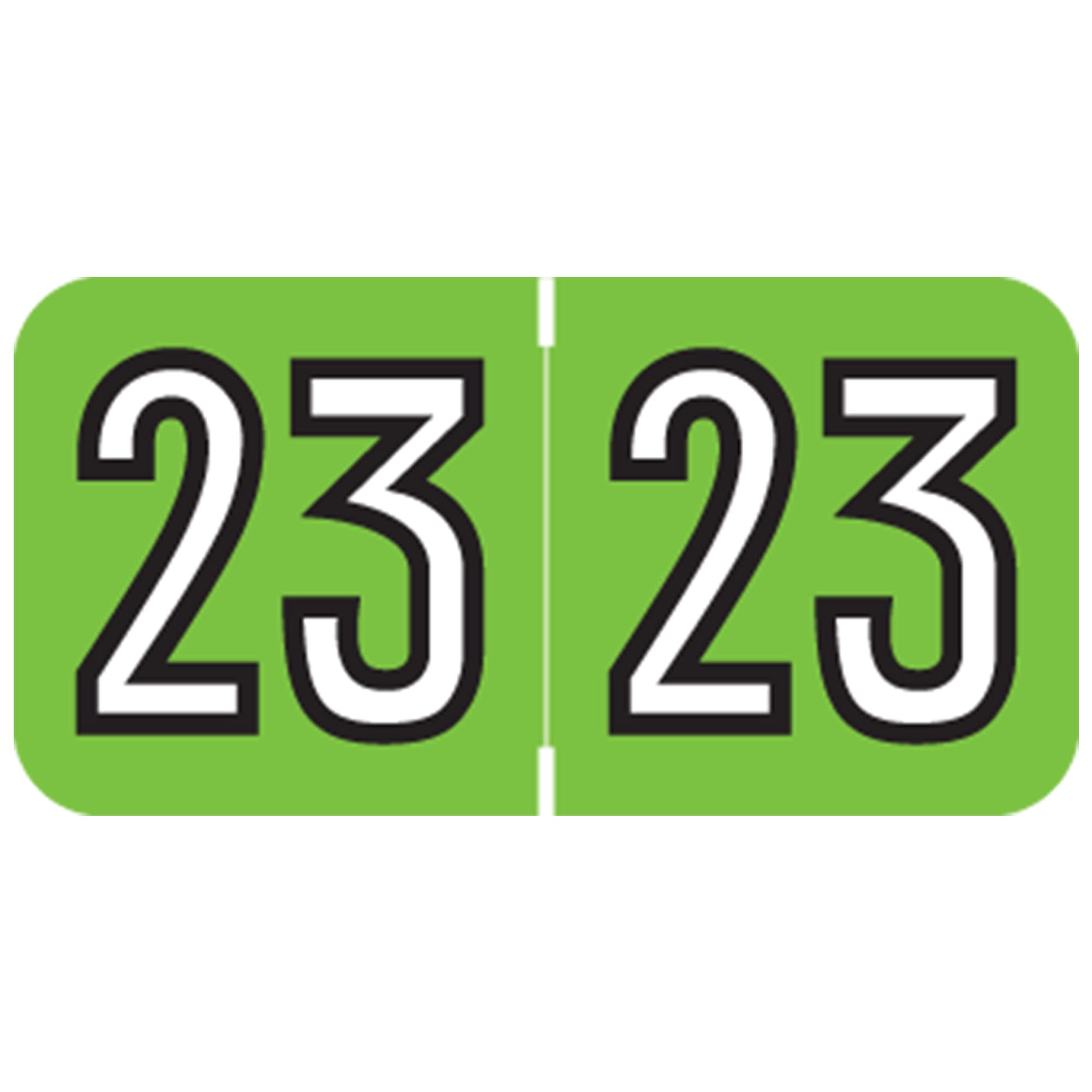 2023 Year Stickers for File Folders - Doctor Office Chart Labels, Light Green & Black Amerifile Style, Made in USA, 500/Roll (3/4