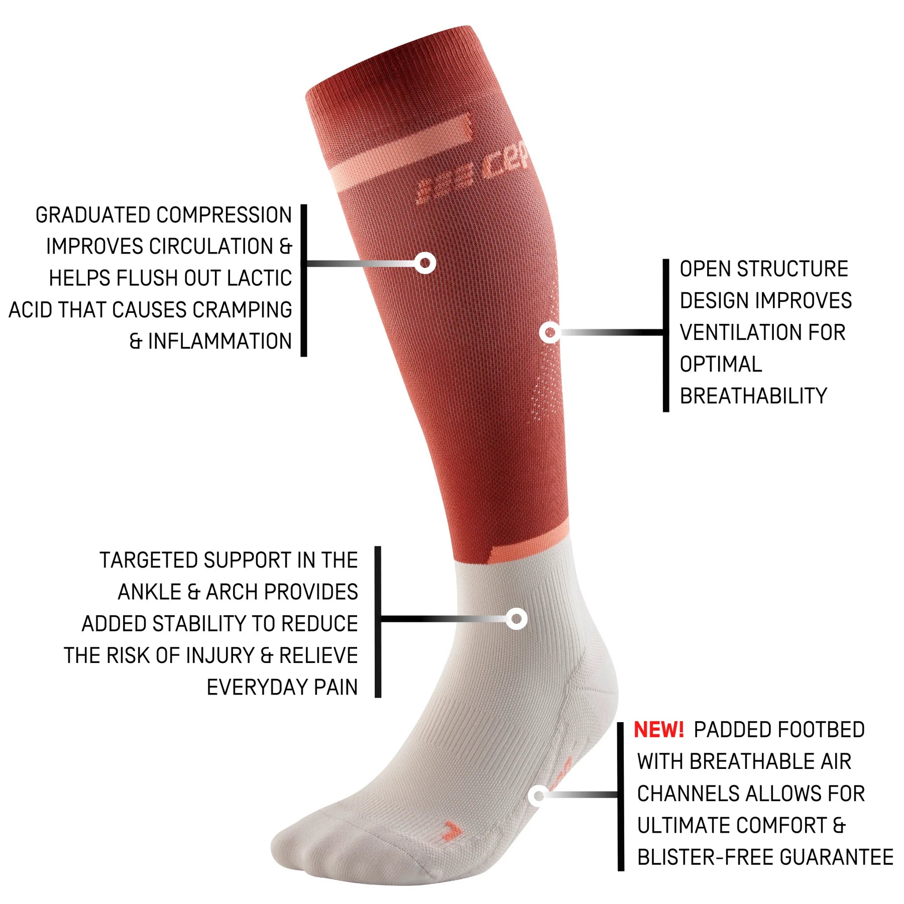 CEP Women's The Run Socks Tall v4 - Compression Running Socks for Women (Red/Off White) - Ideal for Marathon Training, Jogging & Athletic Performance