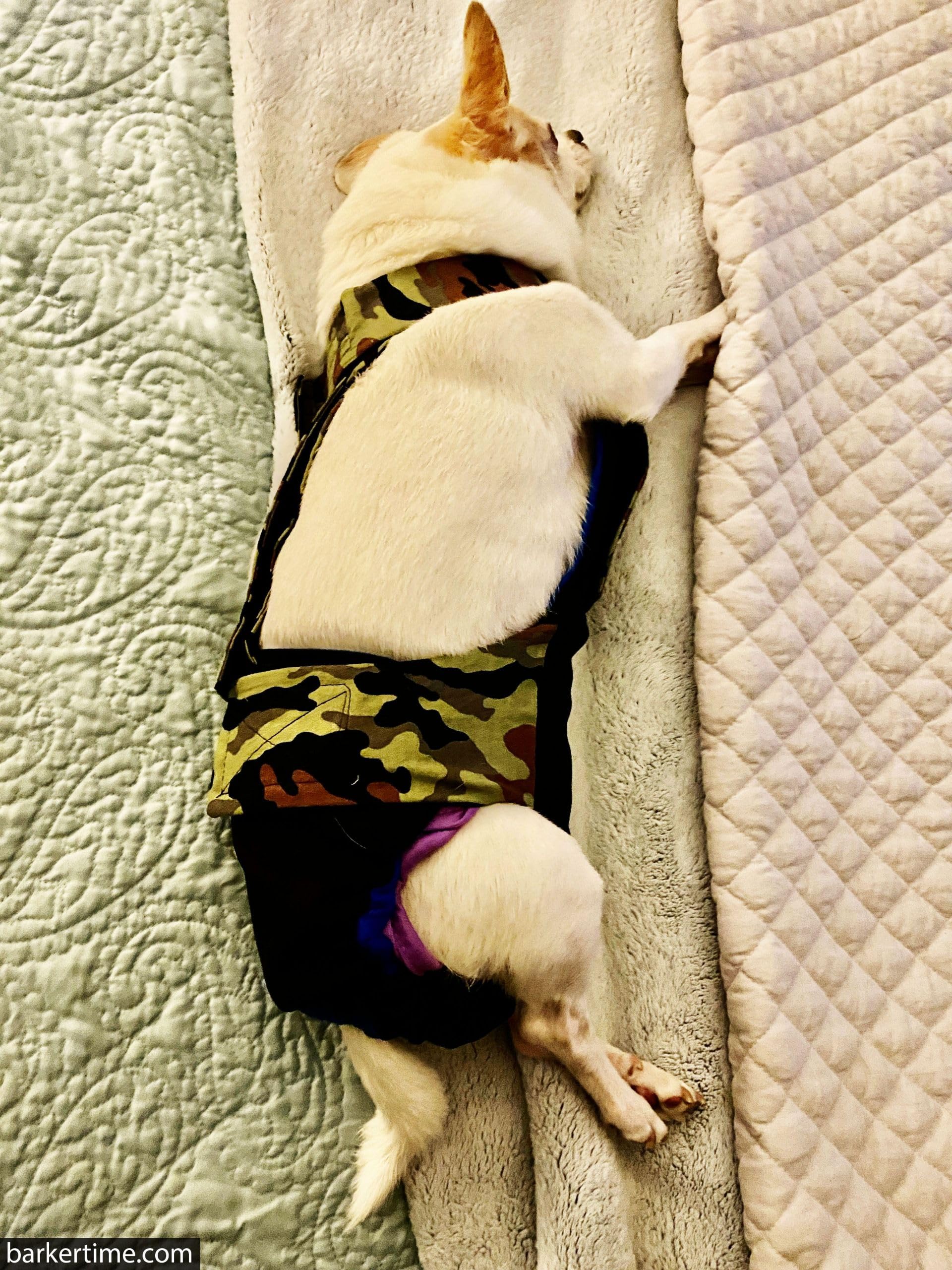 Camo on Black Dog Diaper Overall XXL with Tail Hole - Waterproof Pet Diaper for Incontinence - Made in USA - Perfect for House Training, Travel & Elderly Dogs