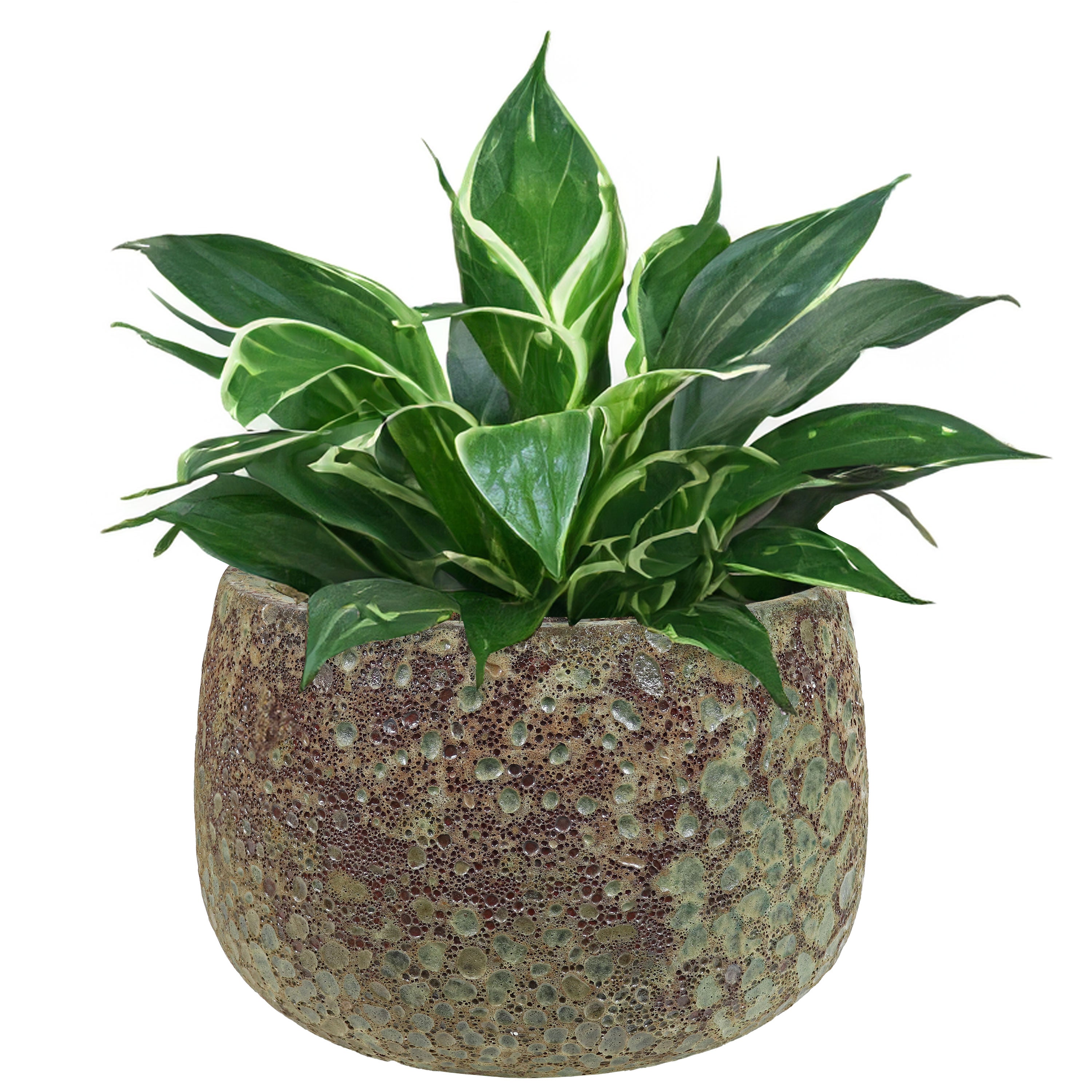 Sunnydaze 14 Inch Ceramic Plant Pot with Green Distressed Lava Finish - Indoor/Outdoor Flower Planter for Home, Garden, Patio & Balcony Decor