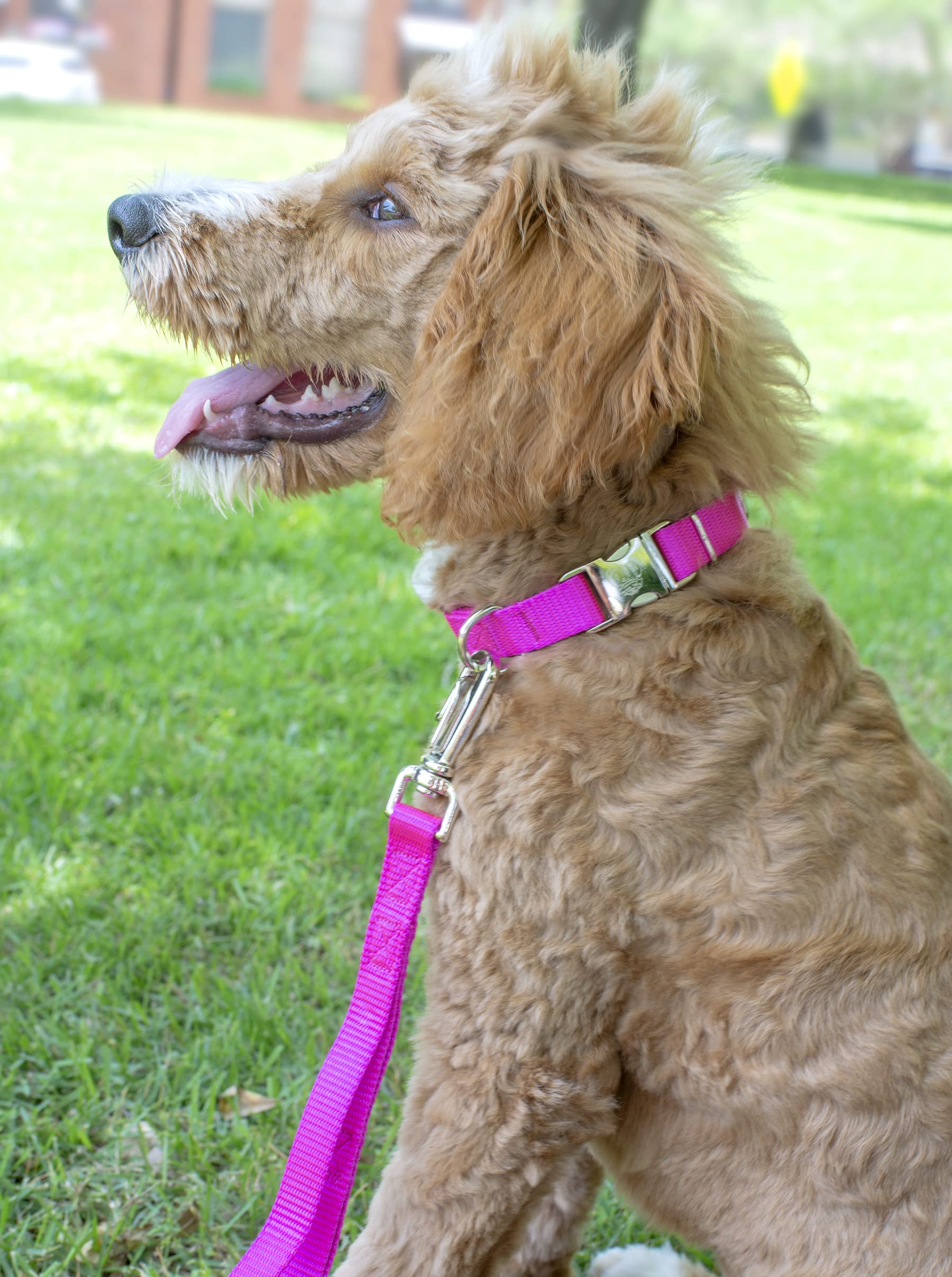 Premium Nylon Dog Collar & Leash Set for Small, Medium & Large Dogs - 30+ Vibrant Colors (3/4