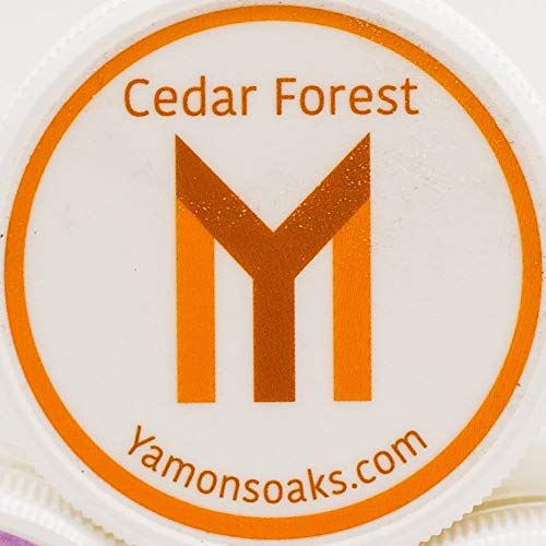 Cedar Forest