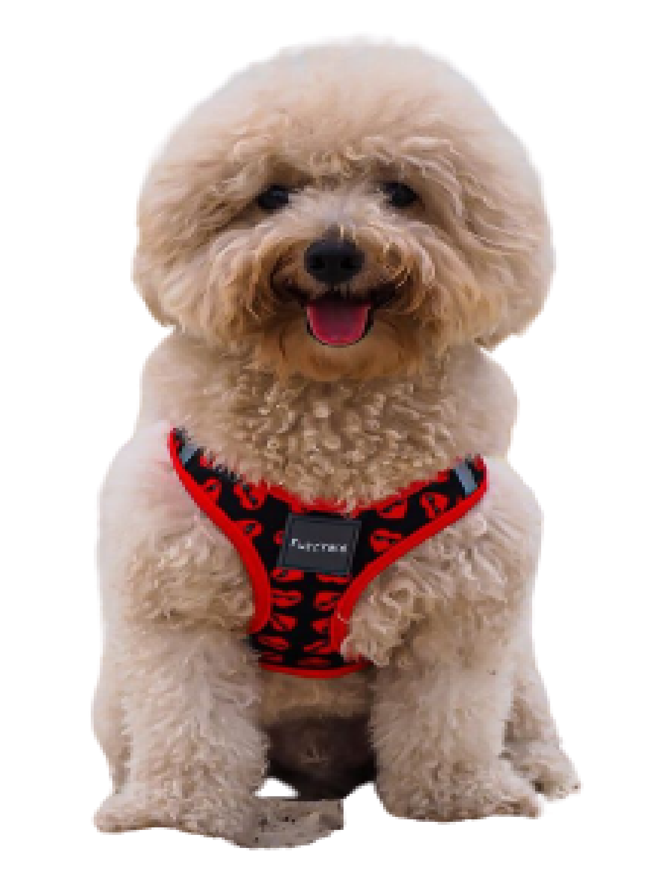 Fuzzyard Step-in Dog Harness - Adjustable No-Pull Pet Vest, Heart Design (6 Sizes) - Perfect for Small & Medium Dogs Walking, Training & Outdoor Adventures