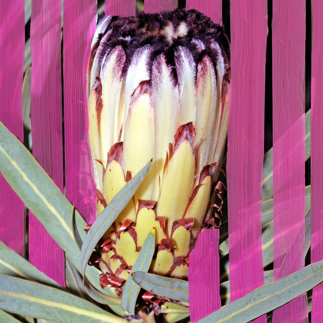 Luxury Floral Inflorescence Eau de Parfum for Women - Long Lasting Fragrance for Date Night & Special Occasions