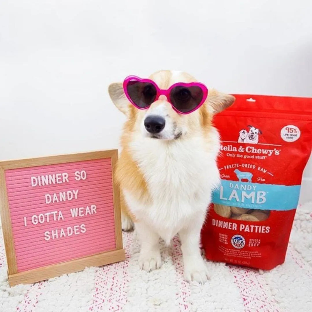 Stella & Chewy's Freeze-Dried Raw Dog Food Patties - Dandy Lamb Recipe | Grain-Free, High-Protein | Perfect for Small & Large Dogs at Home or Travel