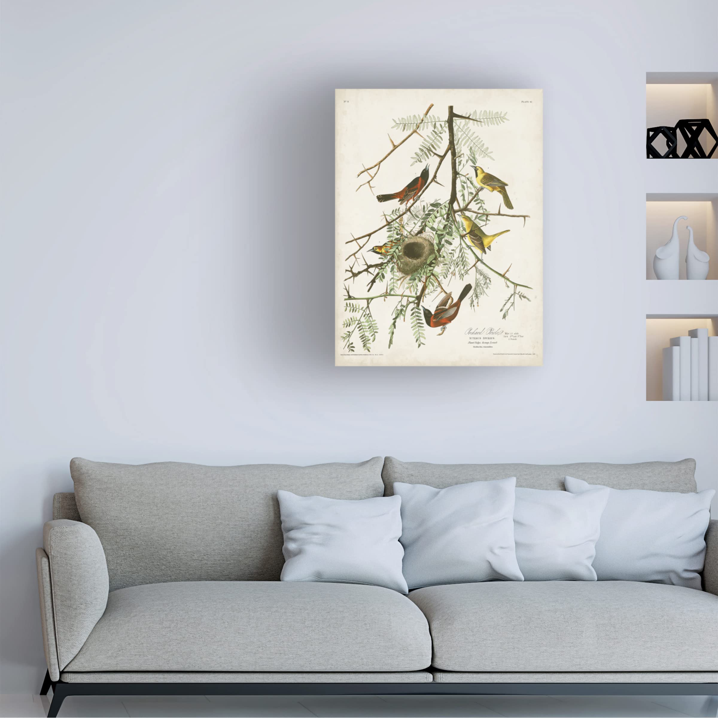 John James Audubon 'Orchard Oriole' Fine Art Canvas Print - 35x47 Inch Wall Decor for Living Room, Bedroom & Office