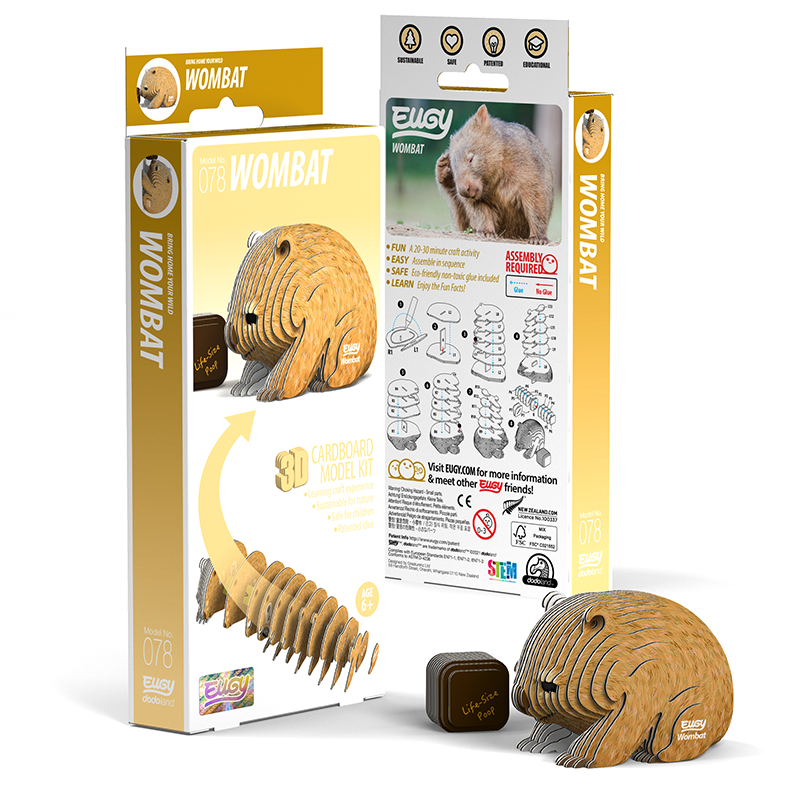 Eugy 3D Cardboard Model Kit - Build Your Own Wombat | DIY Animal Puzzle for Kids & Adults | Perfect for Home Decor, STEM Learning & Creative Gifts
