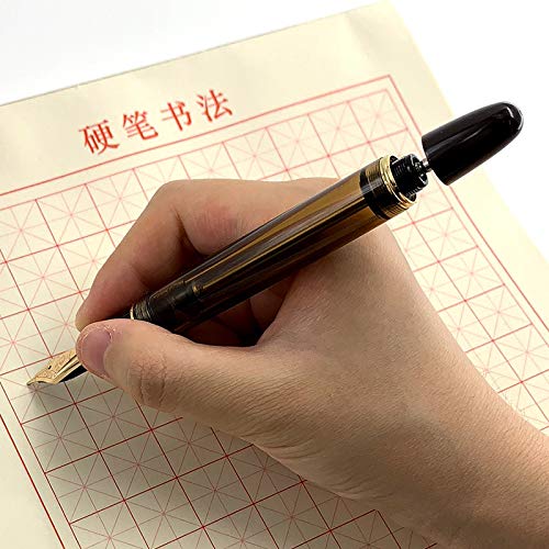 14K Fine Nib Fountain Pen - Brown Translucent Acrylic for Writing & Calligraphy