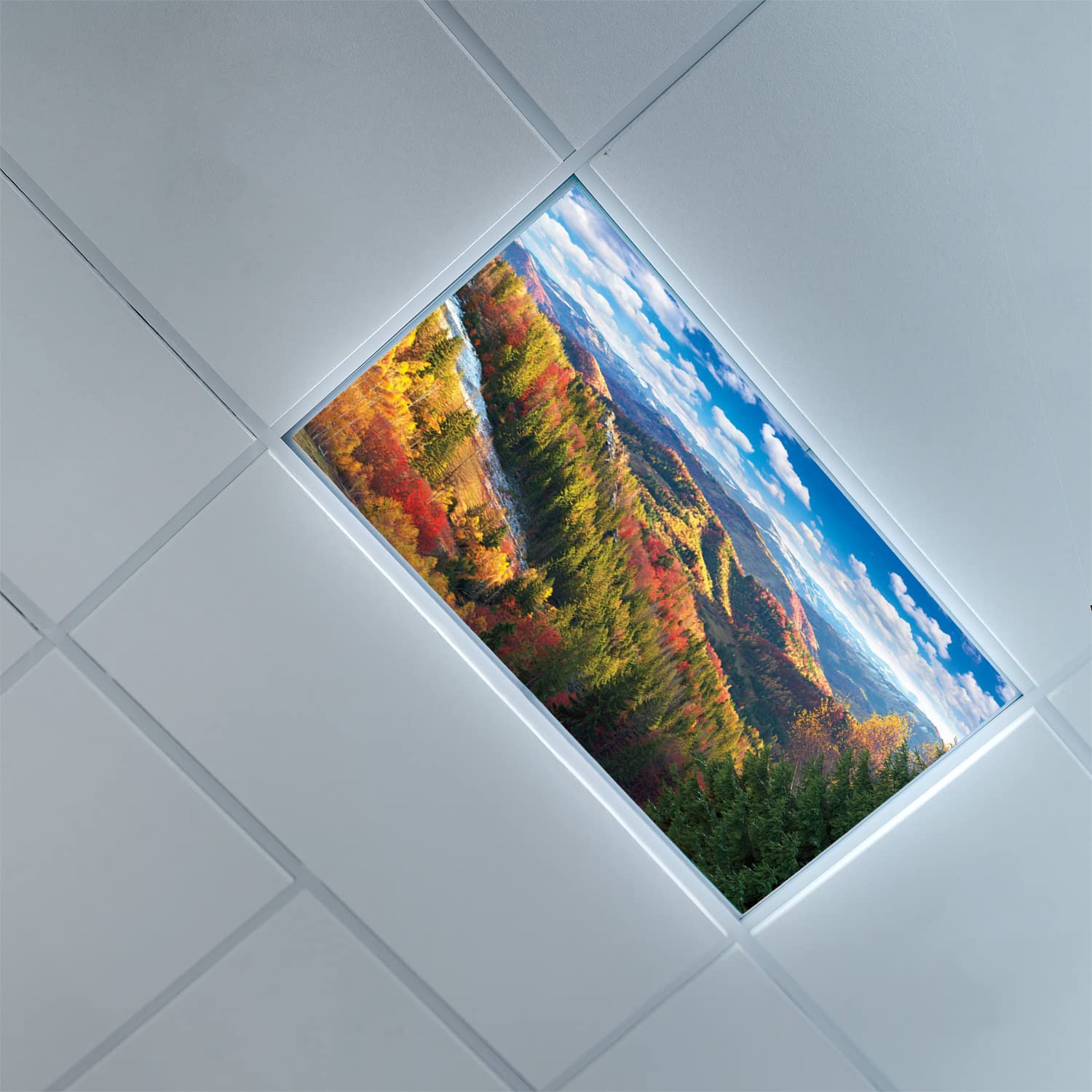 LED Ceiling Light Covers with Aspen Tree Pattern - Fluorescent Light Diffuser Panels for Office & Classroom Decor - Energy Efficient Light Filters (Multicolor) - Perfect for Schools, Hospitals and Workspace Lighting