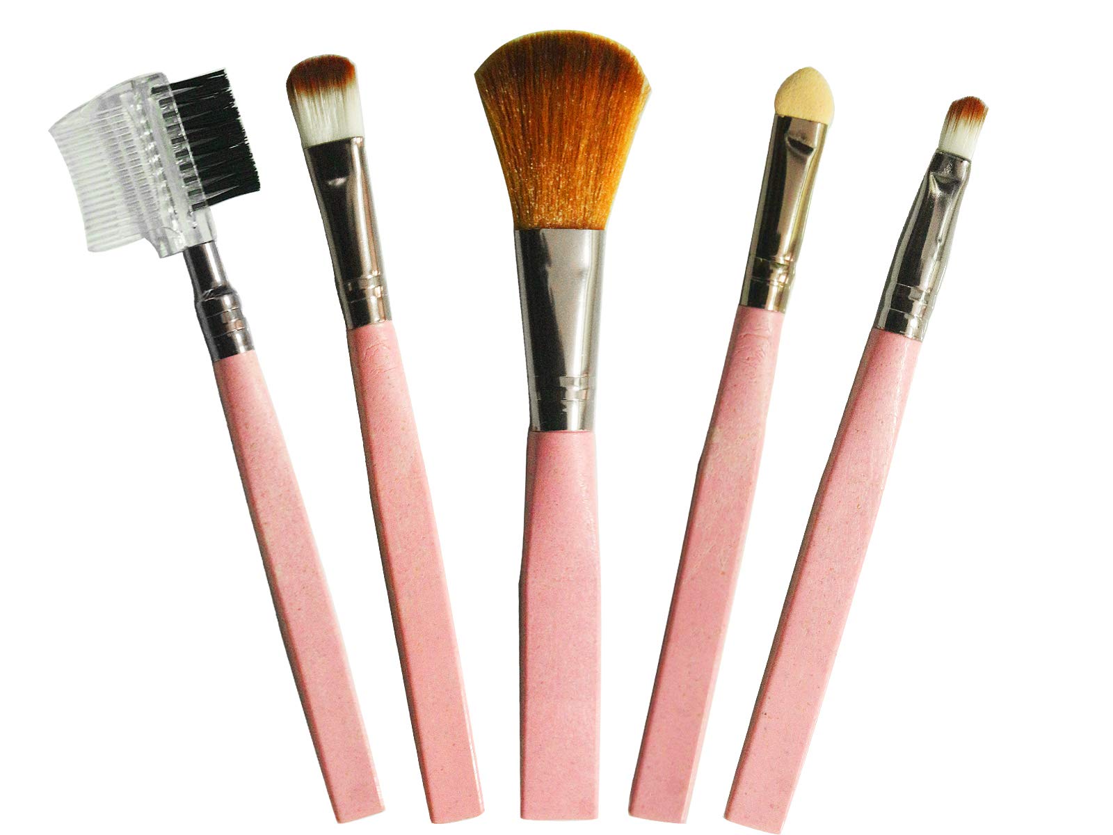 AyA Fashion Professional Makeup Brush Set for Women - 5 Piece Kit with Eyeshadow, Foundation, Eyebrow & Lip Brushes (Pink) | Perfect for Daily Makeup & Professional Makeup Artists