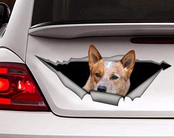 Red Heeler Car Decal - Premium Vinyl Sticker for Cars, Trucks, Windows, Walls & Laptops (11 Inch) - Perfect for Pet Lovers & Vehicle Customization