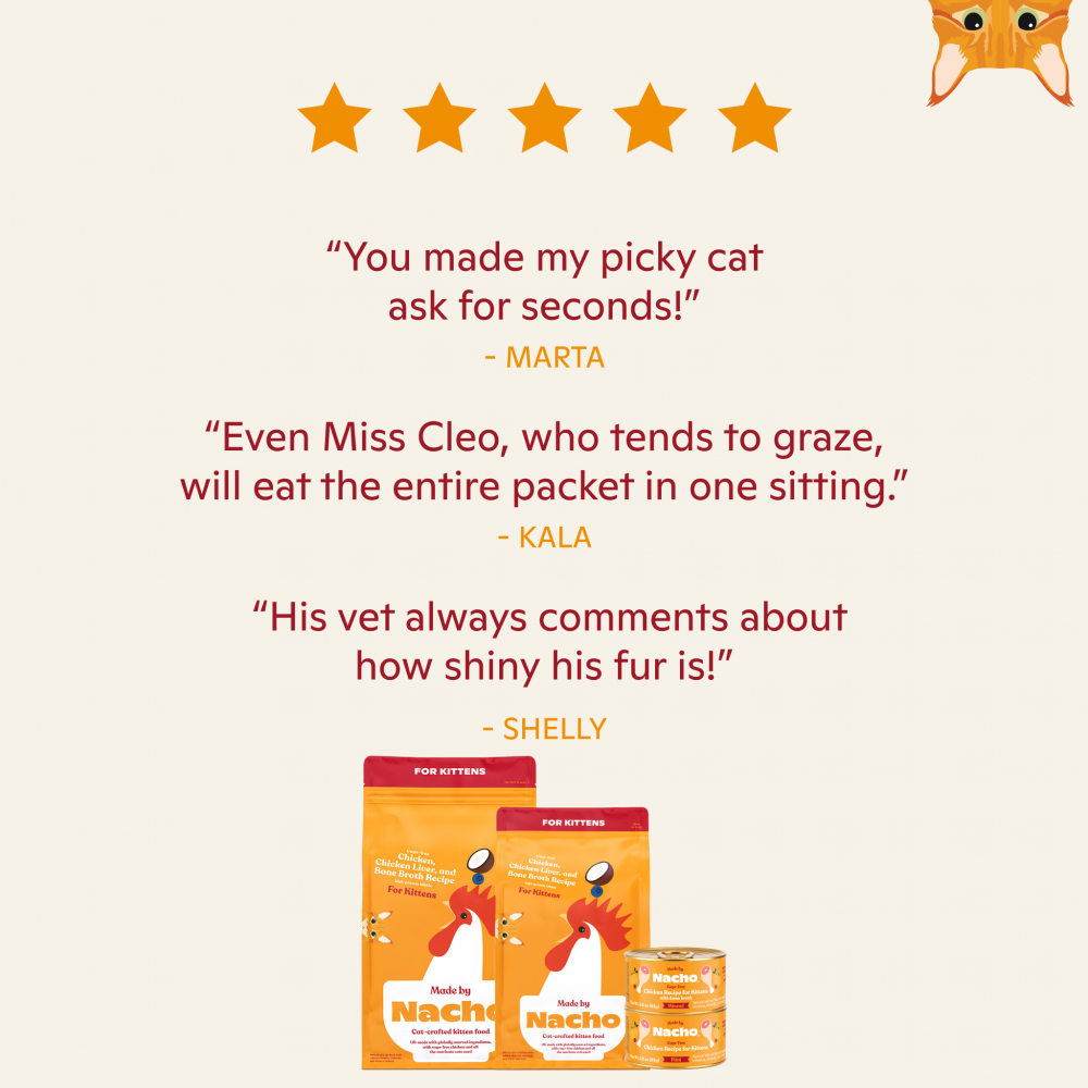 Made By Nacho Grain-Free Cage-Free Chicken Recipe Pate Wet Cat Food for Kittens - High Protein Kitten Food for Healthy Growth, Perfect for Weaning & Picky Eaters