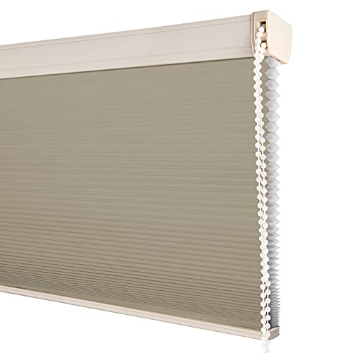 Light Filtering - Camel