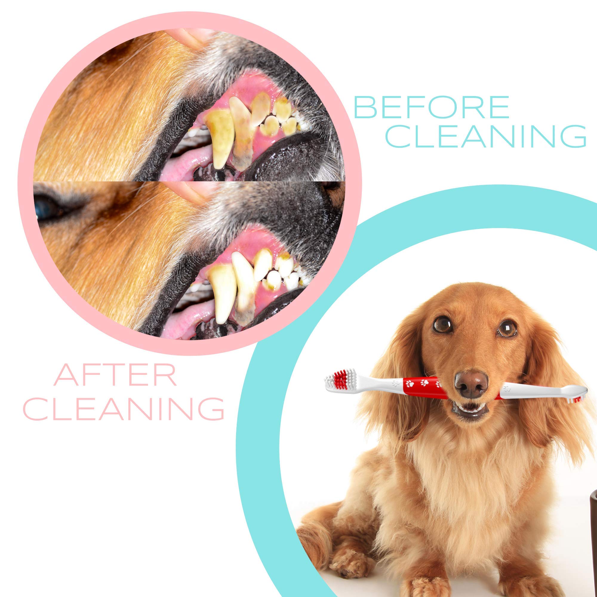 Pet Toothbrush for Dogs & Cats - Soft Bristles Dual Head Toothbrush for Easy Teeth Cleaning & Dental Care | Non-Slip Grip | Perfect for Daily Oral Hygiene at Home or Travel