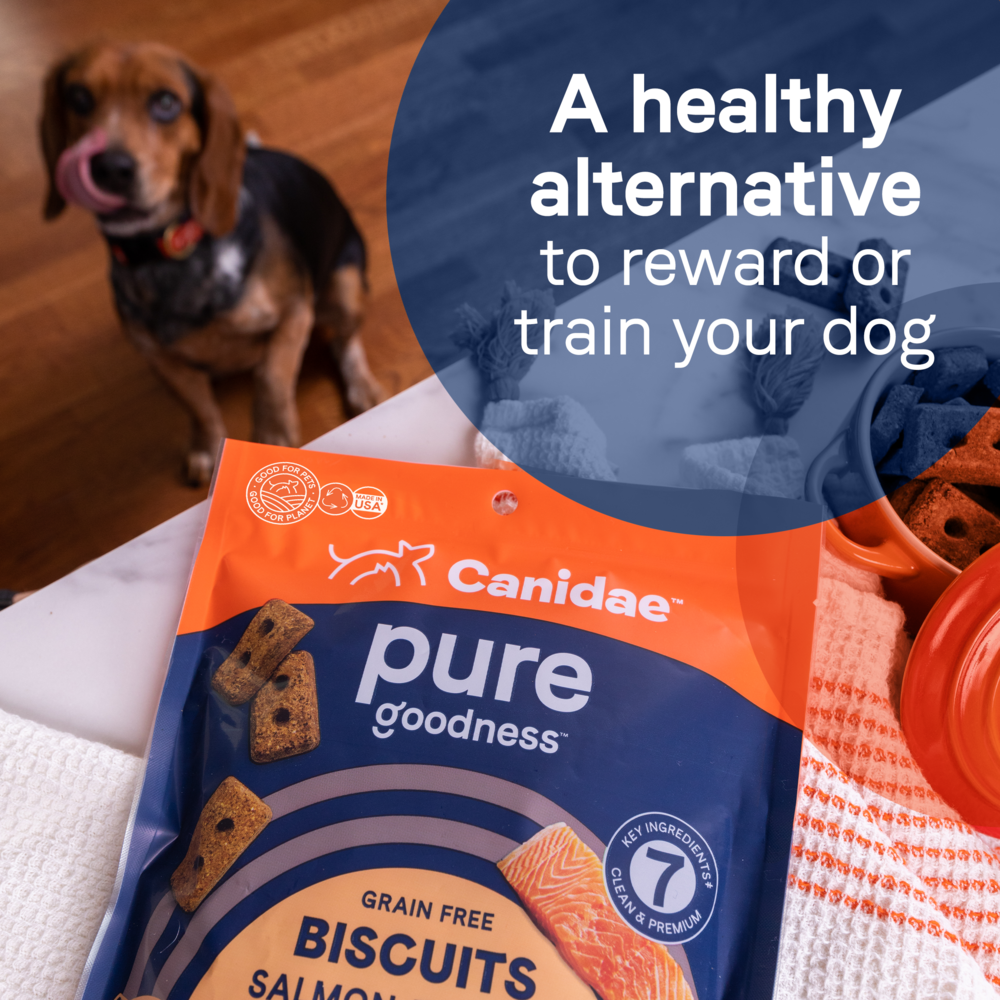 Canidae Grain Free PURE Heaven Biscuits with Duck and Chickpeas - Healthy Natural Dog Treats for Training, Rewards & Dental Care - Perfect for Small, Medium & Large Breed Dogs
