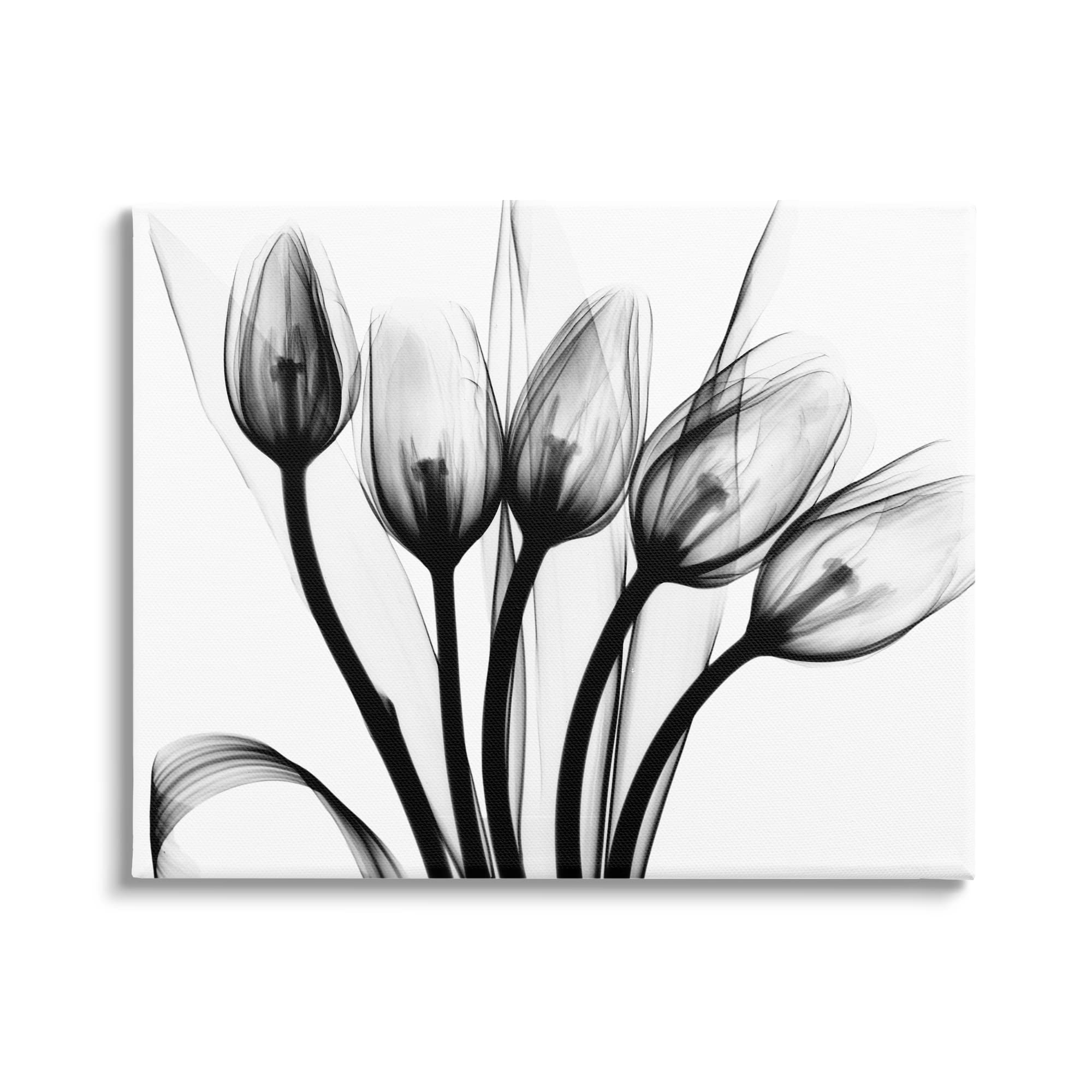 Stupell Industries Modern Tulip Blossom Abstract Black & White Wall Art - Albert Koetsier Photography - Perfect for Living Room, Bedroom & Office Decor