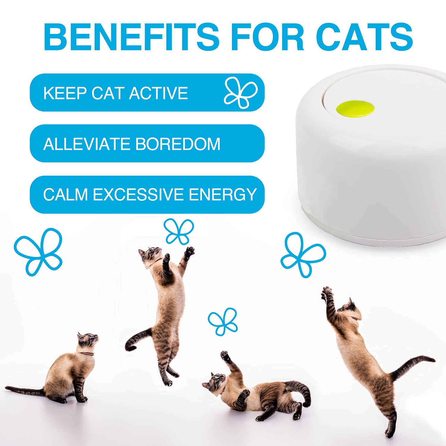 Interactive Motion-Activated Butterfly Cat Toy - Flutter Bug & Rotating Kitten Toy with 2 Replacements | Indoor Cat Entertainment for Play & Exercise