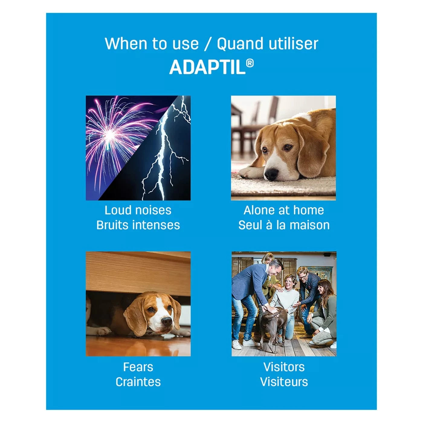 ADAPTIL Calm Home Diffuser Kit for Dogs - Anxiety Relief & Stress Reduction | Plug-In Pheromone Diffuser for Calming Nervous Pets | Perfect for Thunderstorms, Fireworks & Separation Anxiety