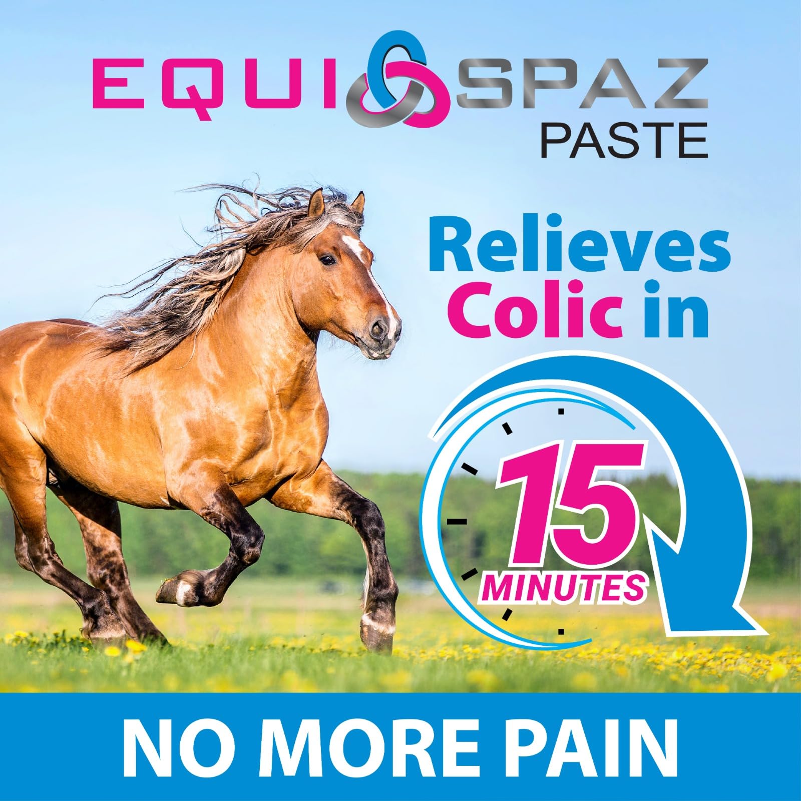 Saratoga Veterinary Horse Digestion Supplement - Fast Relief for Intestinal Gas & Colic in 15 Minutes (6 Pack) | Supports Healthy Gut & Comfort for Show Horses, Racehorses & Trail Riders