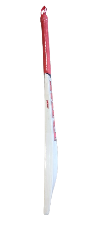 MRF CHAMP JUNIOR Cricket Bat - Premium Kashmir Willow (UK Model) - Perfect for Junior Cricket Training & Matches