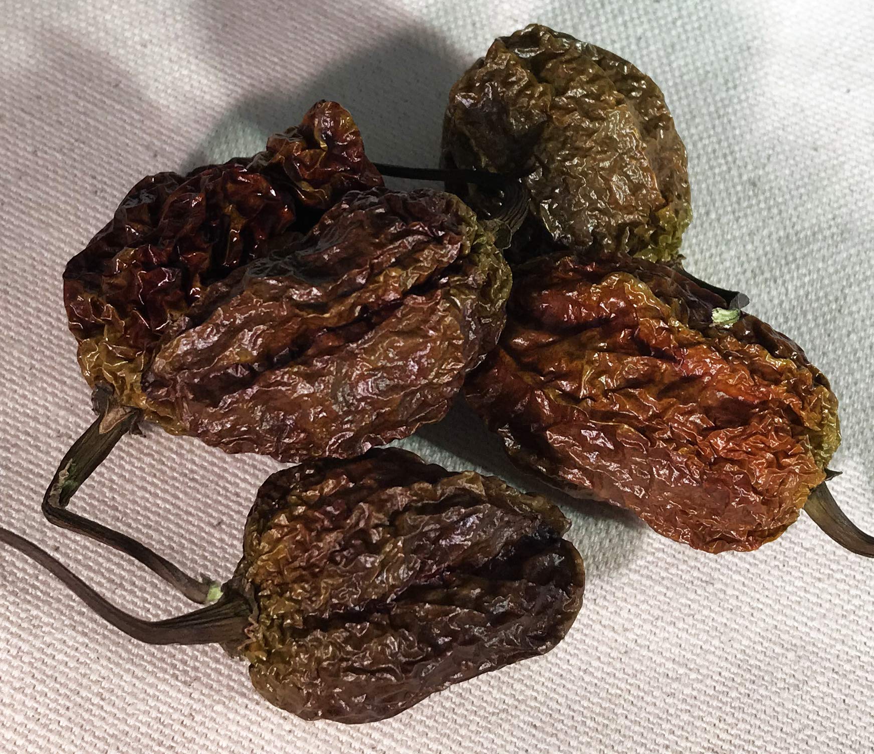 **Spicy Chocolate Bhutlah Ultra Hot Dried Whole Pepper Pods - 5 Pack - Perfect for Cooking, Sauces, and Hot Spice Blends**