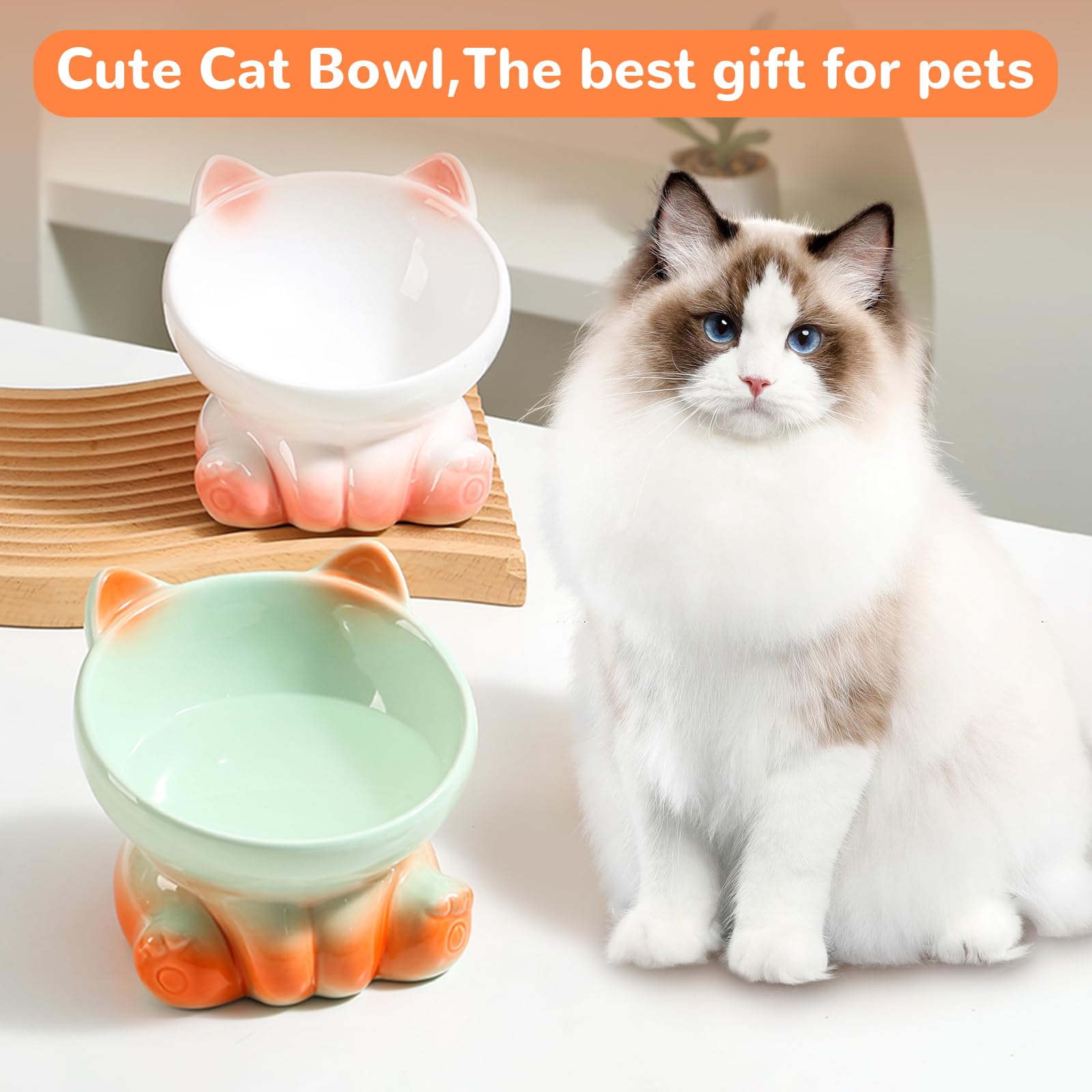 Elevated Cat Bowls for Indoor Cats - Whisker-Friendly Tilted Ceramic Cat Food Dish with Gradient Design (White & Pink) - Perfect for All Ages, Reduces Neck Strain & Messy Eating - Ideal for Small Spaces, Kitchen Countertops or Pet Feeding Stations