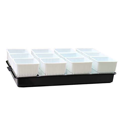 Black Tray + 12 White Pots