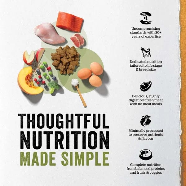 Now Fresh Turkey, Salmon & Duck Recipe Small Breed Senior Dry Dog Food - Premium Grain-Free Nutrition for Aging Small Dogs - Perfect for Indoor & Low-Activity Senior Pups