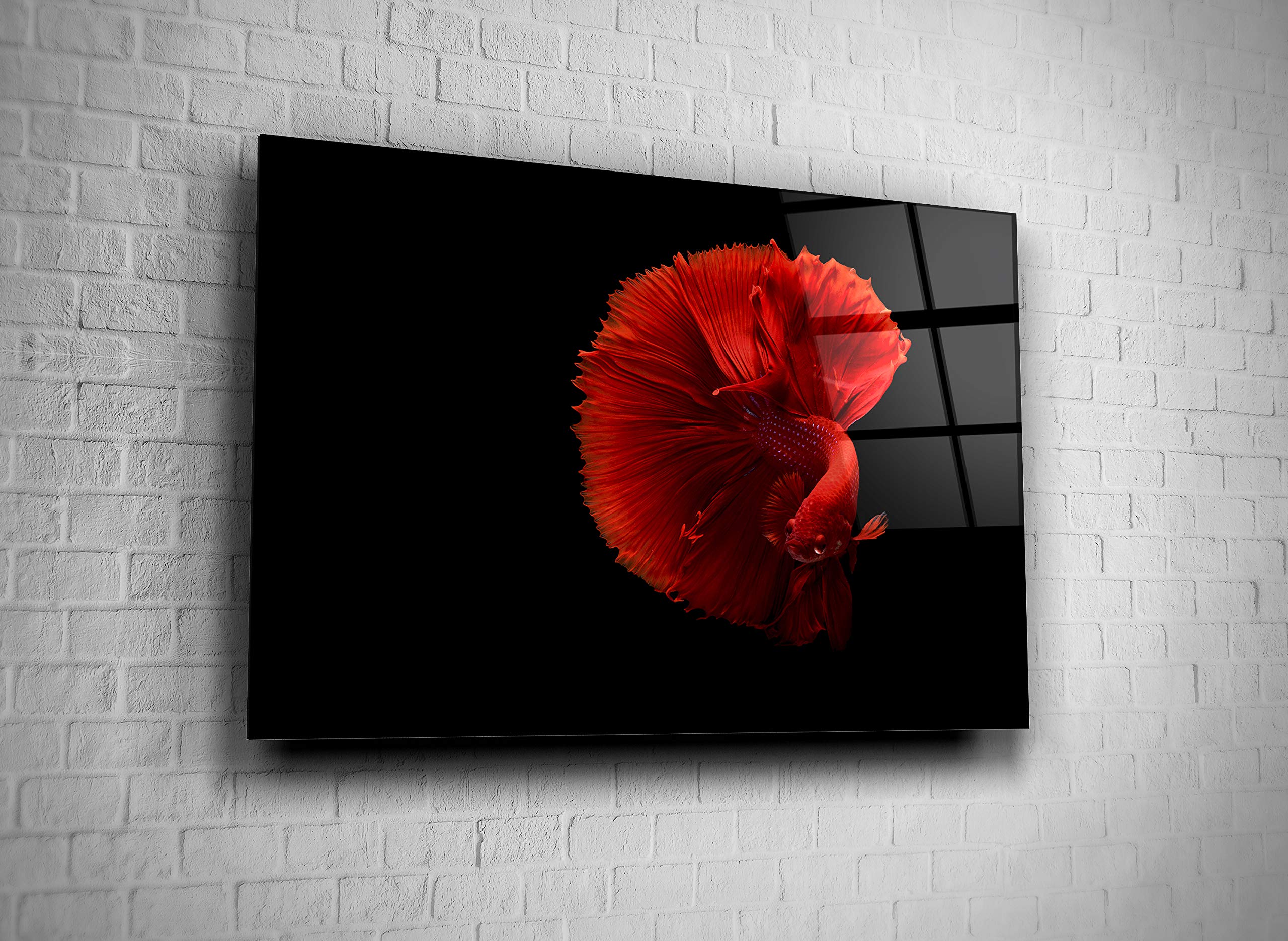 Exotic Betta Fighting Fish Aquarium Wall Art - Tempered Glass Modern Home & Office Decor - Unique Gift for Fish Lovers (16x24) - Perfect for Living Rooms, Bedrooms, Hotels & Corporate Spaces
