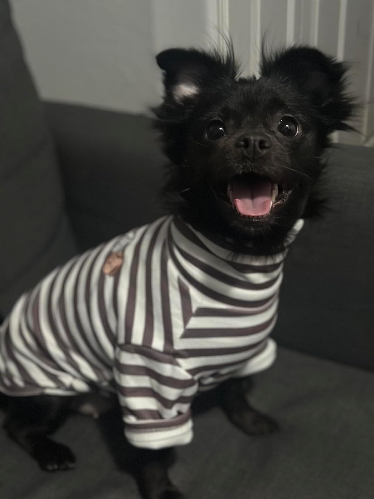 Cute Striped Turtleneck Dog Sweater - Soft Stretchy Puppy Pullover with Embroidery for Small Medium Large Dogs & Cats (Black Striped, Small) - Perfect for Winter Walks & Photo Shoots