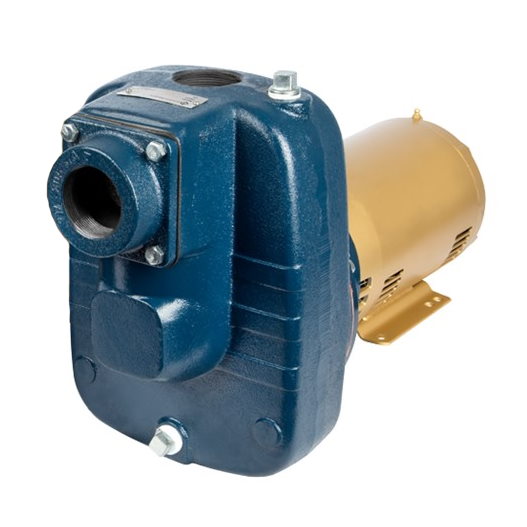 Franklin Electric 92980030 FTB3CI FPS 3HP Turf Boss Centrifugal Self-Priming Sprinkler Pump - Ideal for Lawn Irrigation, Golf Courses & Commercial Landscaping