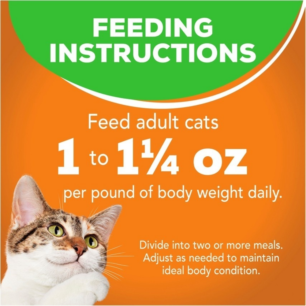 Friskies Selects Indoor Classic Chicken Entree Canned Cat Food - High Protein Wet Cat Food for Adult & Senior Cats - Perfect for Indoor Cats with Sensitive Stomachs