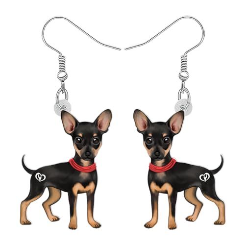 Chihuahua C