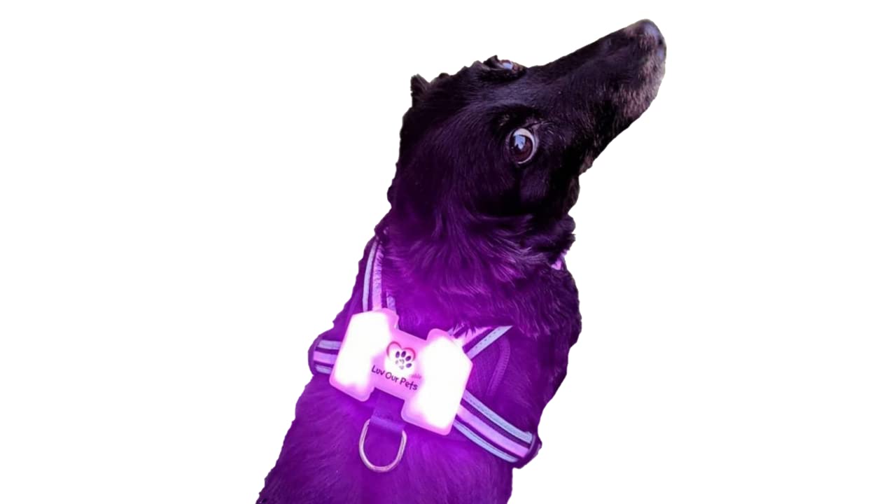 LED Dog Harness with Light - Reflective Safety Vest for Night Walking, Jogging & Outdoor Adventures - Perfect for Small, Medium & Large Dogs