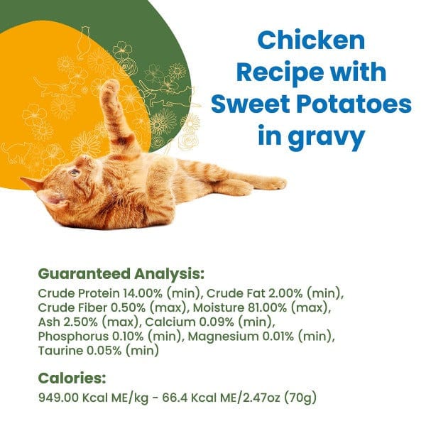 Almo Nature HQS Complete Chicken with Sweet Potatoes in Gravy Canned Cat Food - Premium Wet Cat Food for Adult Cats - Perfect for Mealtime, Weight Management & Picky Eaters
