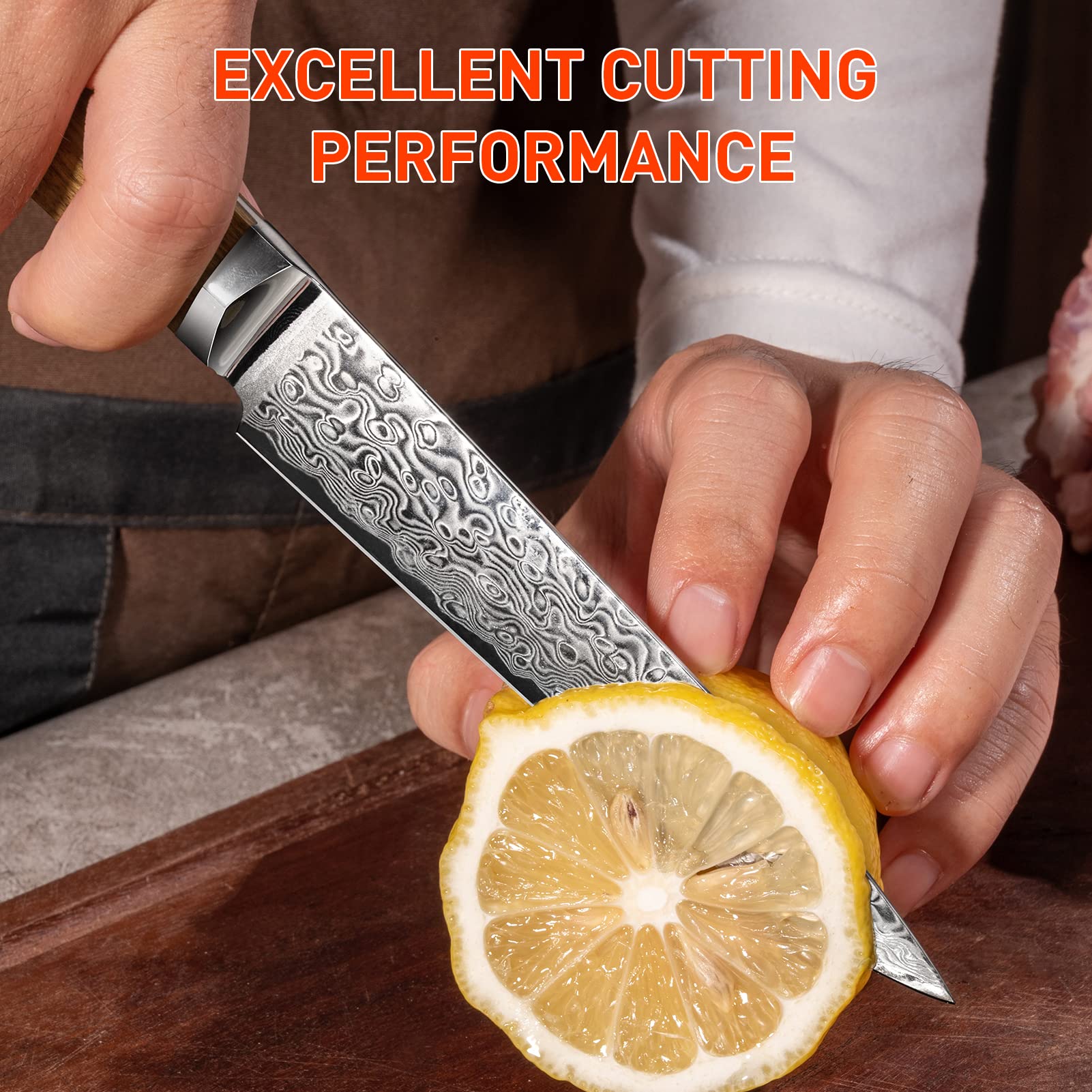 5 Inch Damascus Kitchen Utility Knife - 67-Layer VG10 Steel Ultra Sharp Professional Paring Knife with Hexagon Natural Wood Handle - Perfect for Slicing Fruits, Vegetables & Precision Cooking Tasks