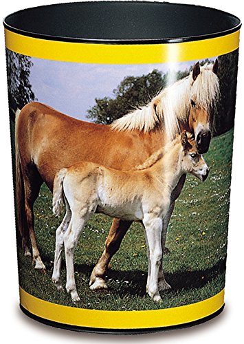 Pferd und Fohlen