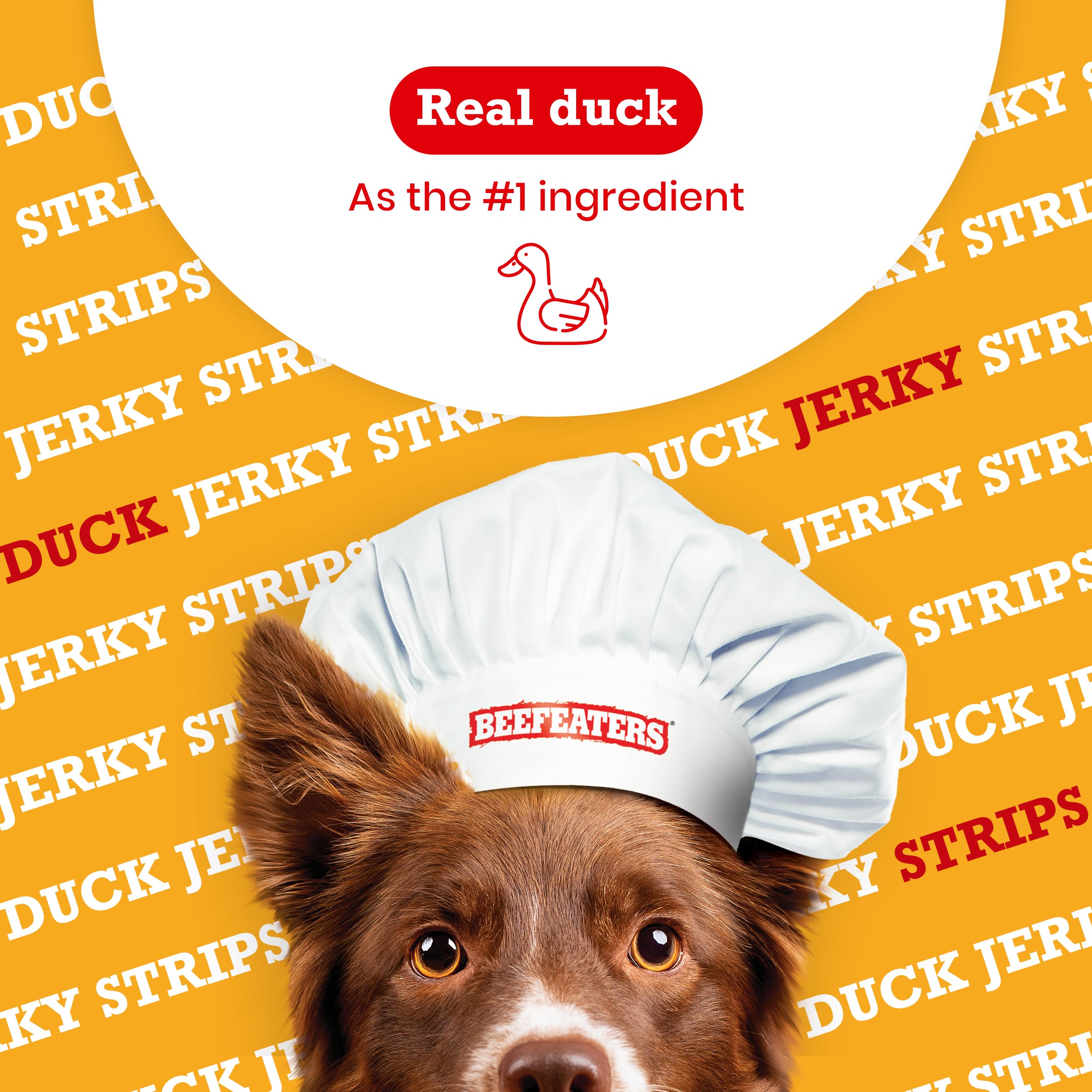 Premium Duck Jerky Dog Treats 8oz - All-Natural, Grain-Free, High Protein & Low Fat | Made with Real Duck as #1 Ingredient | No Corn, Wheat, Soy or Gluten | Perfect Training Treats for Small, Medium & Large Dogs | Great for Obedience Training, Reward Snacks & Outdoor Adventures