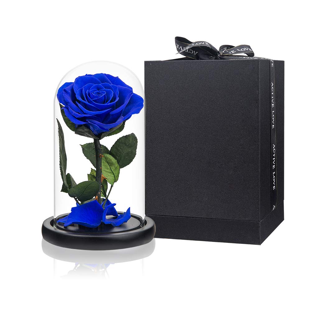 Royal Blue Preserved Roses in Glass Dome - Real Never-Withered Flowers for Home Decor, Wedding Centerpieces & Romantic Gifts (Perfect for Valentine's Day, Mother's Day & Birthdays)